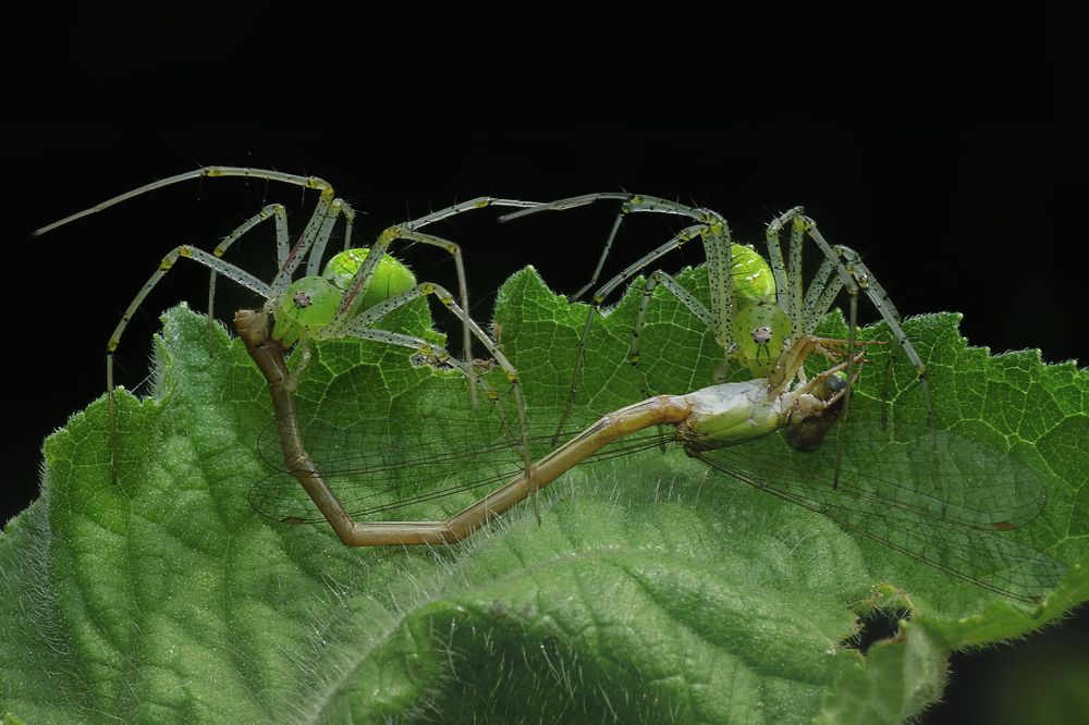 Фотография автора Arijit Mondal