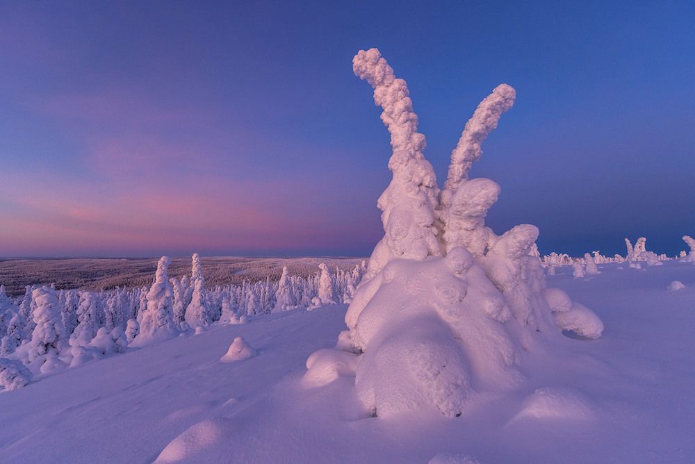 Photograph by Mulkahainen Valtteri