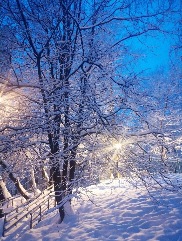 Фотография автора Роман Зотов