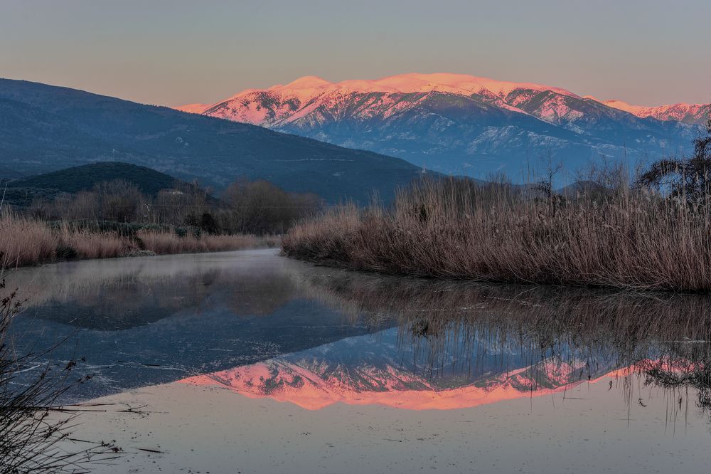 Photograph by АЛЛА ЗВЯГИНА