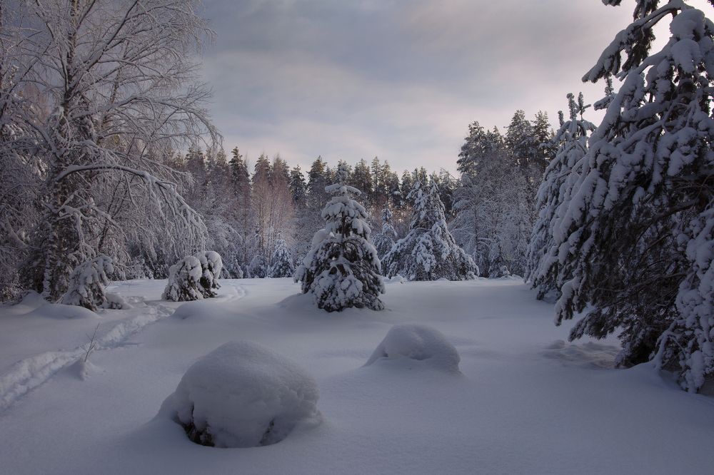 Photograph by Волоцков Александр