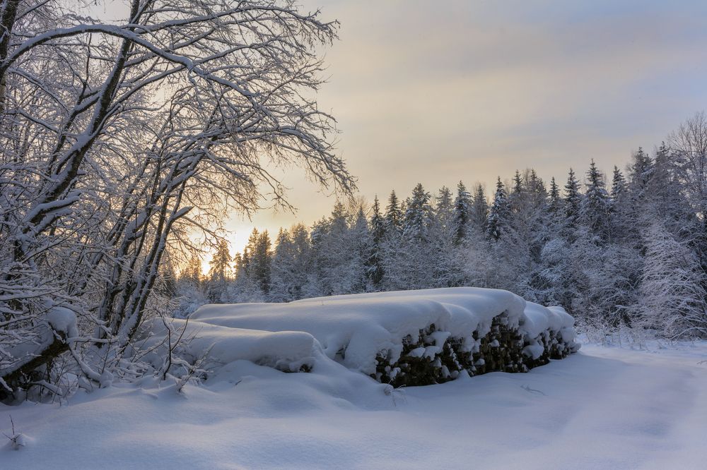 Photograph by Волоцков Александр