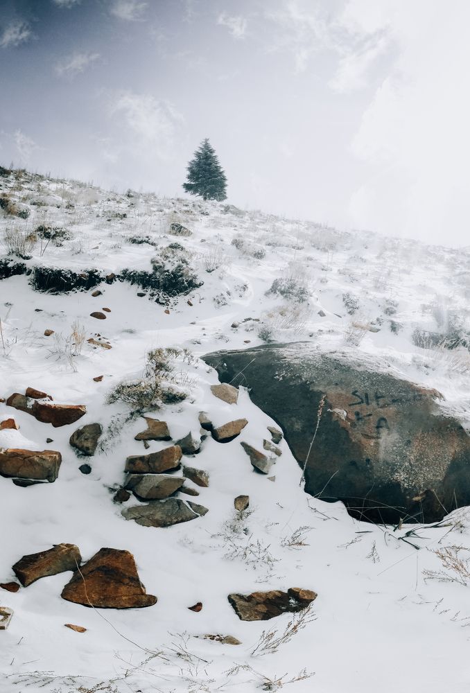 Фотография автора ANKAK Said