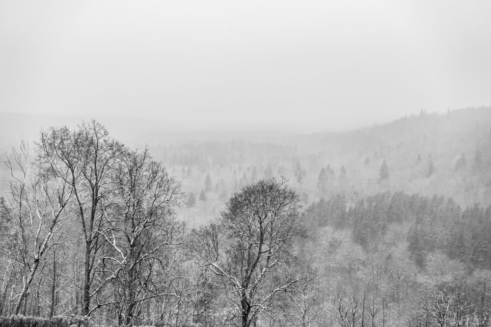 Photograph by Vlad Maslakov