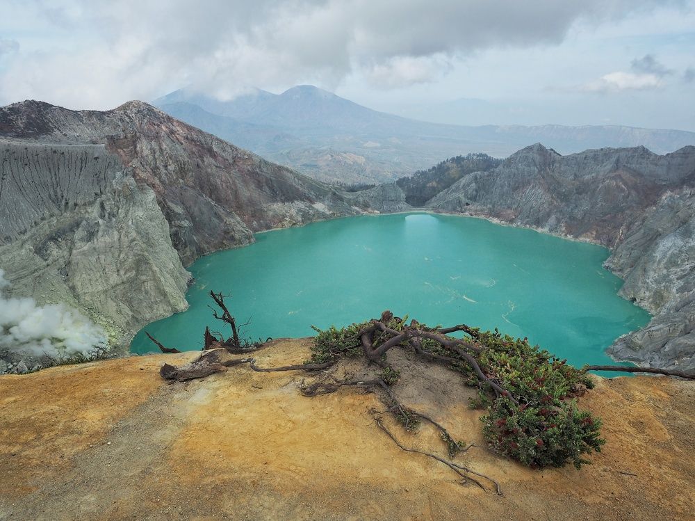 Photograph by Elena Poddubnaja