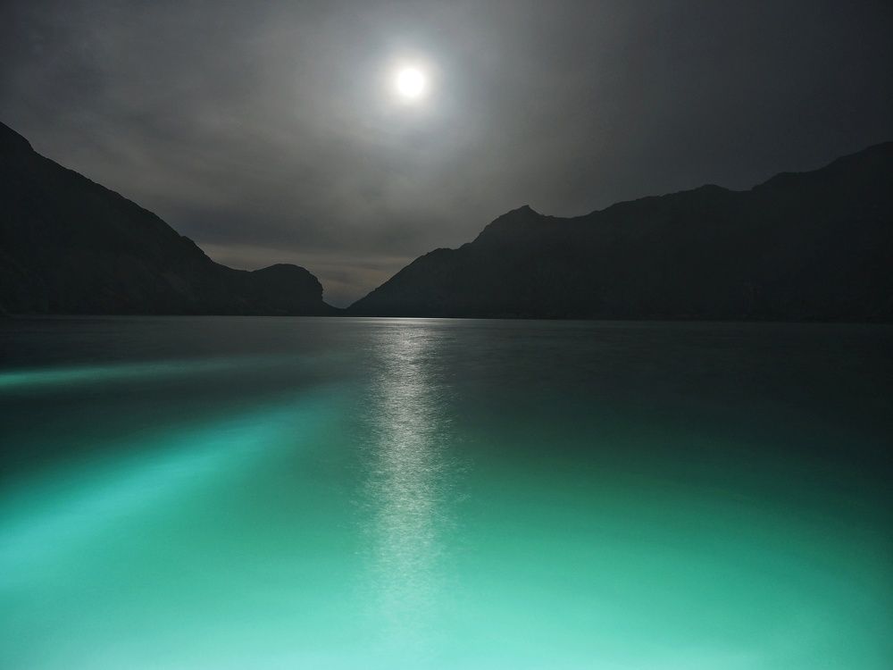 Photograph by Elena Poddubnaja