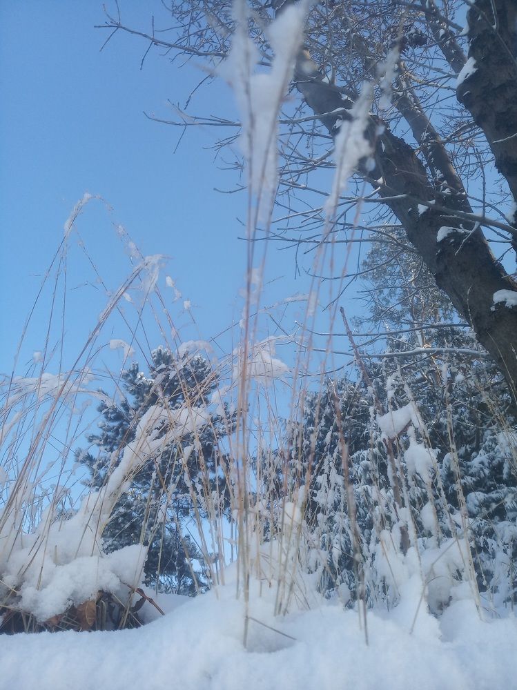 Фотография автора Jindřiška Kučerová