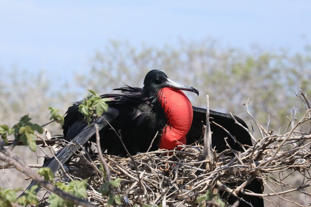 Photograph by ELVIRA LUNEVA