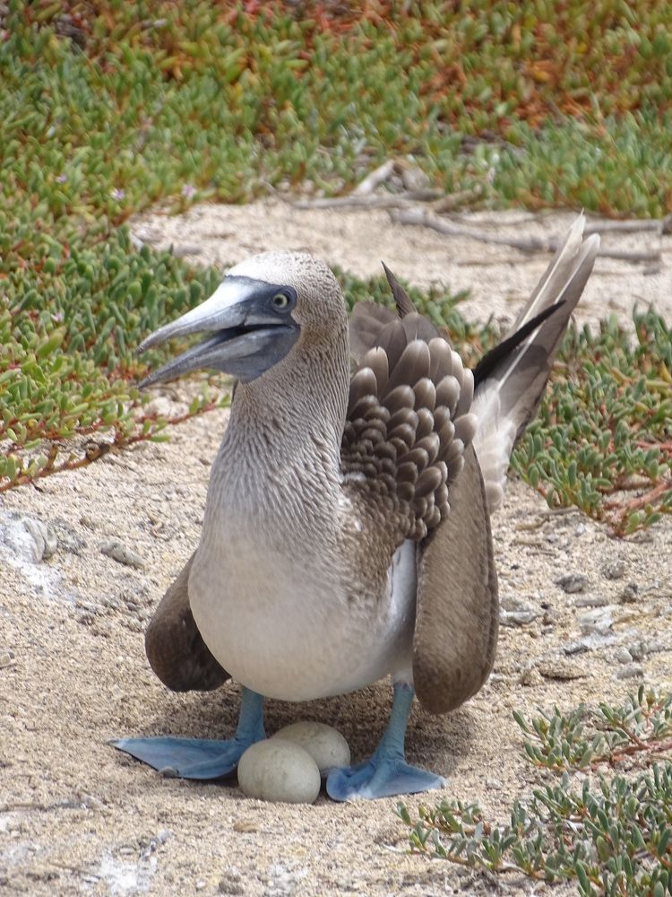 Photograph by ELVIRA LUNEVA