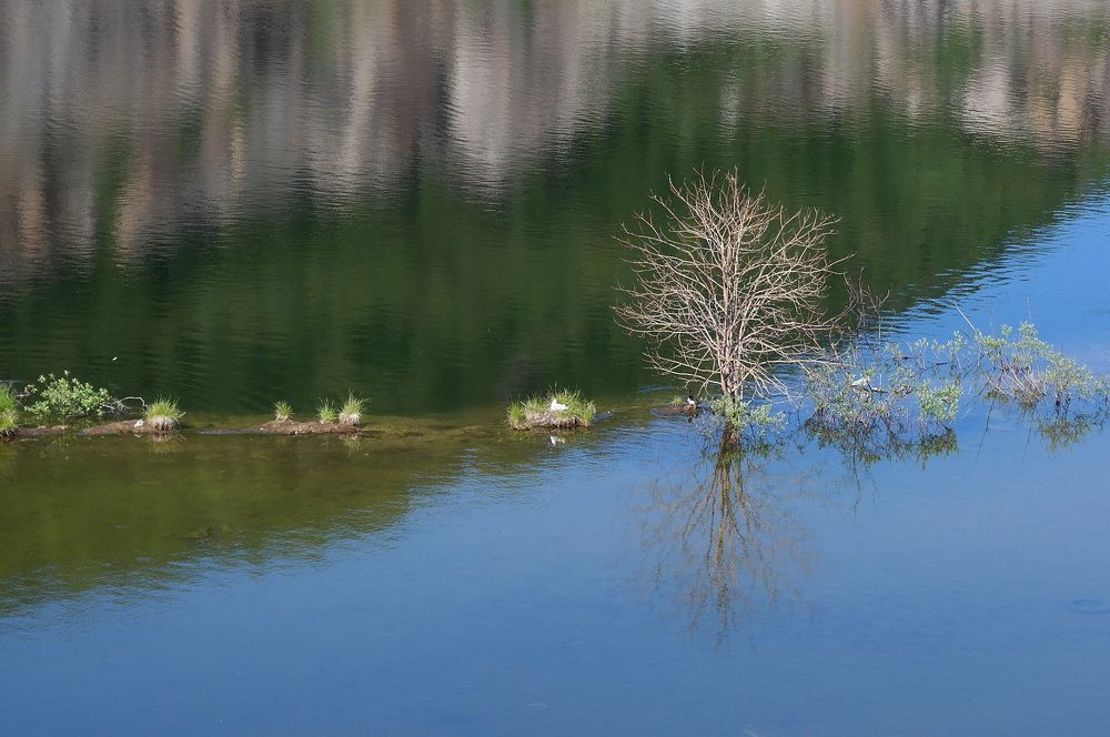 Photograph by Забелинская Татьяна Юрьевна