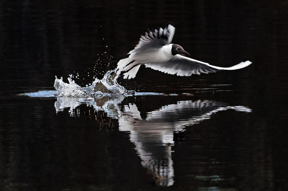 Photograph by Olga Akhmetova