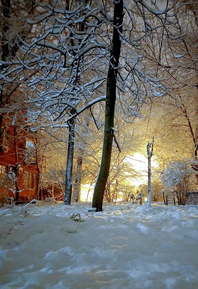 Photograph by Ольга Шевцова