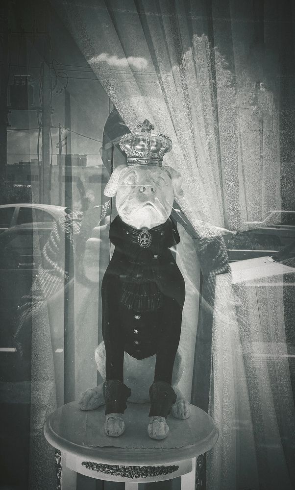 Фотография автора Pourya Darband Yourdshahi