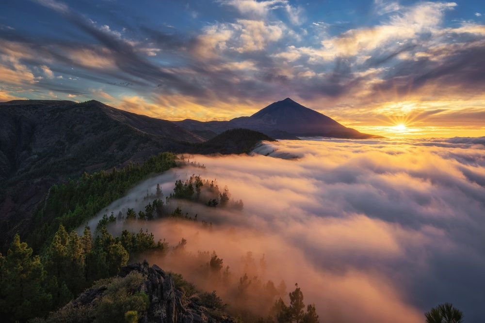 Photograph by Efrén