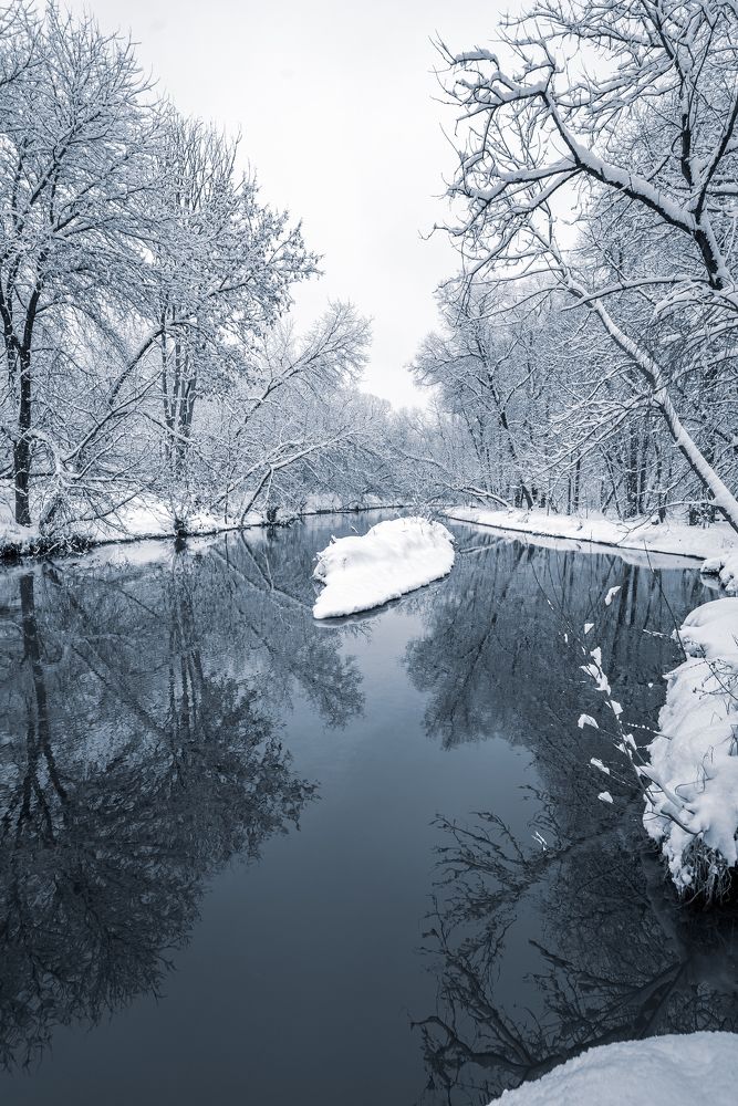 Снежный островок и отражения деревьев в реке Сходня