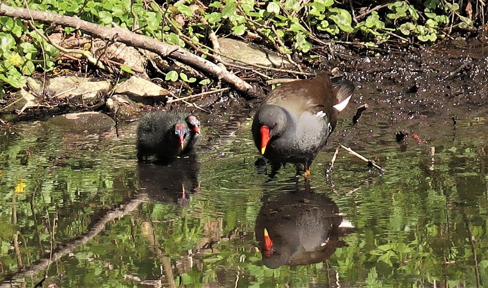 Photograph by Любовь