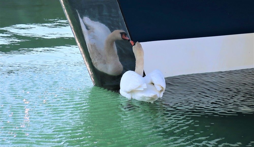 Photograph by Любовь