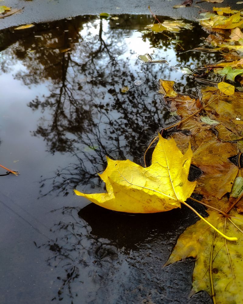 Photograph by Светлана Смирнова