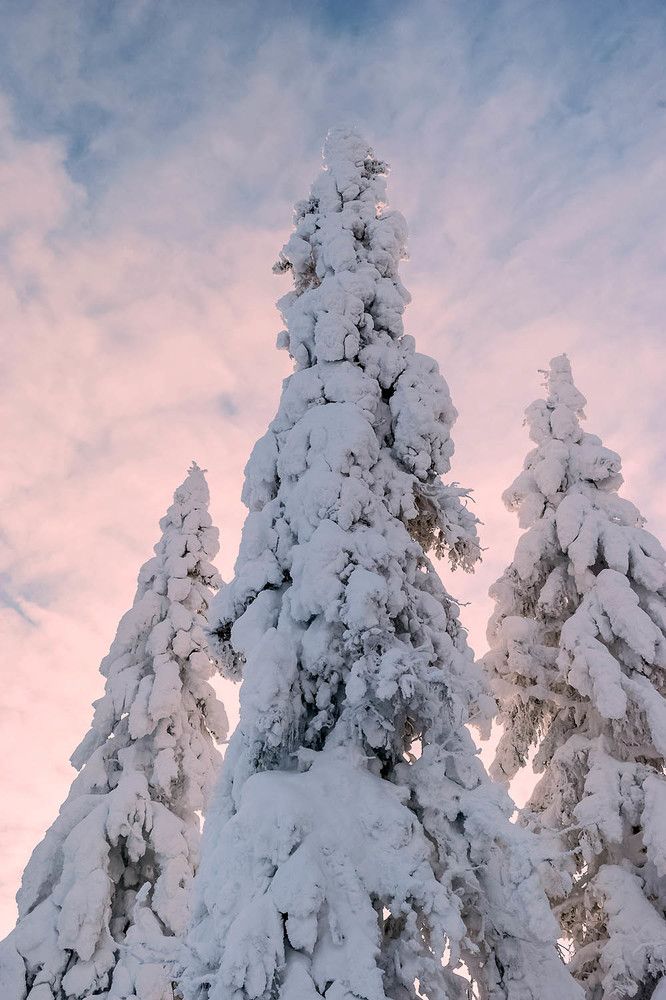 Photograph by Наталья Калягина