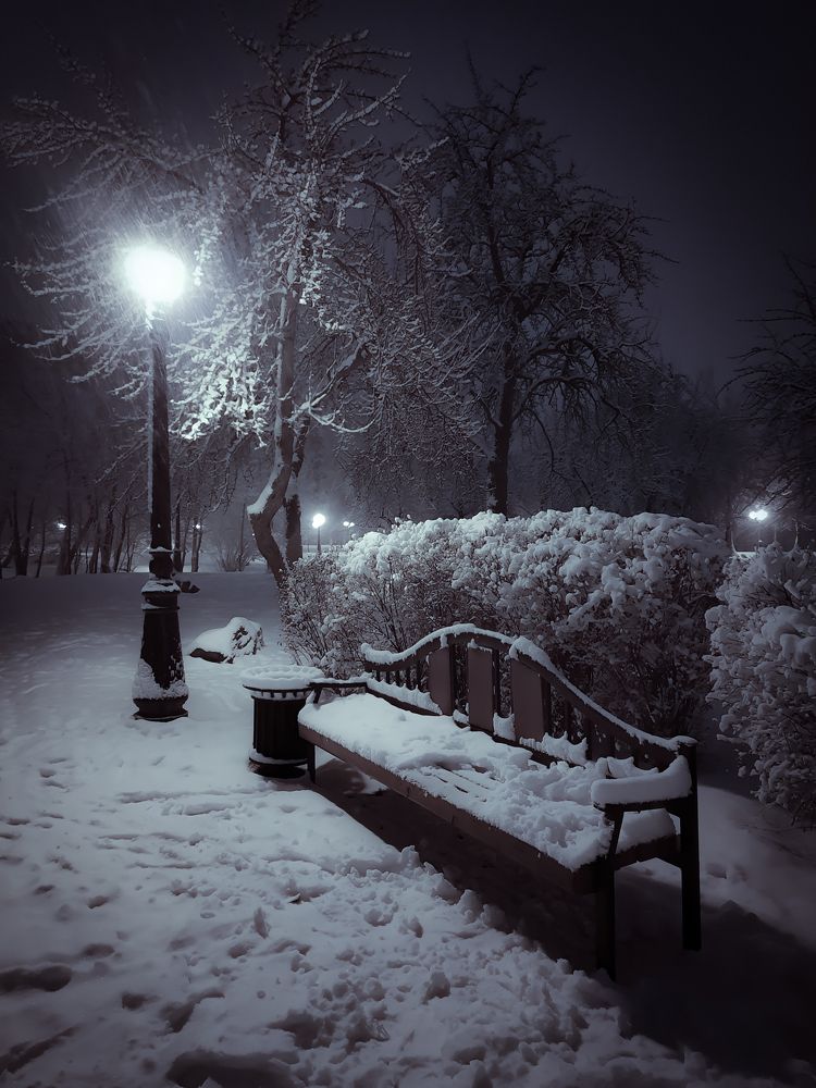 Вечерняя прогулка