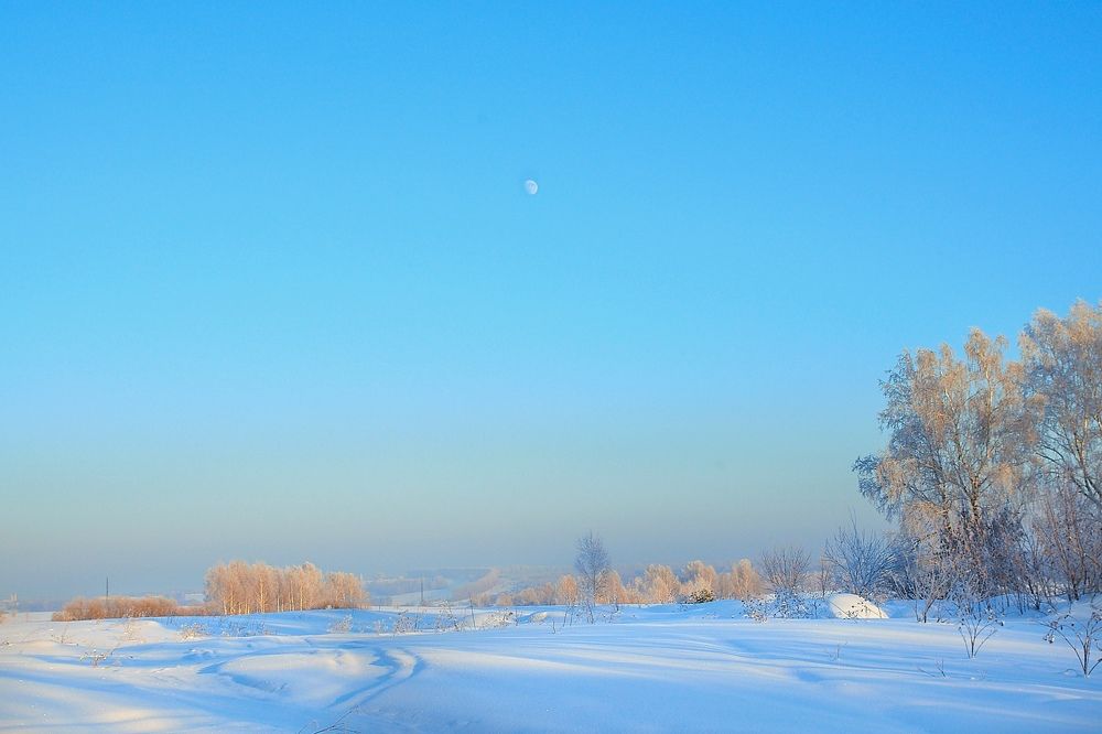 Photograph by Мария Григорьева