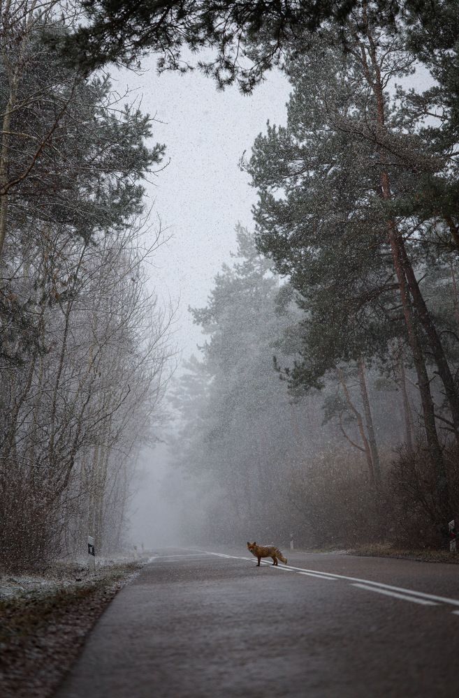 Photograph by Anastasia Biryukova