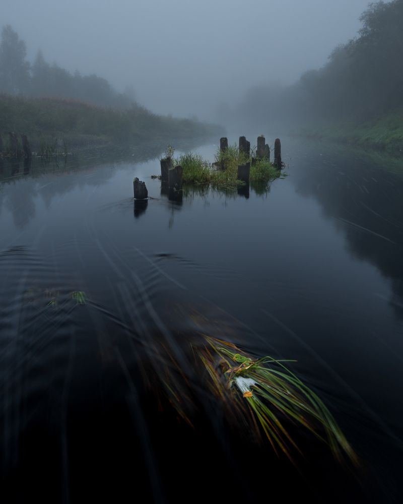 Photograph by Роман Фабричный