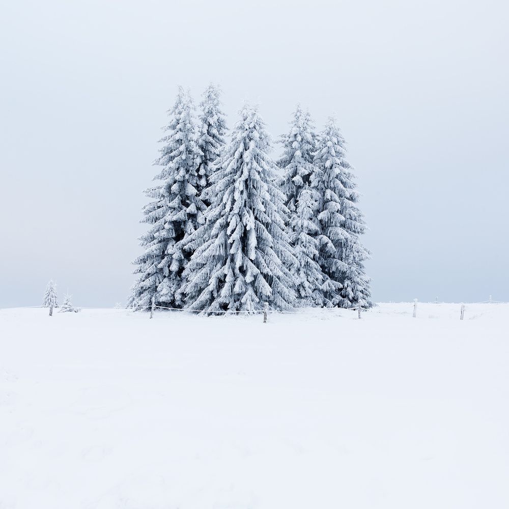 Photograph by Jan Kovář