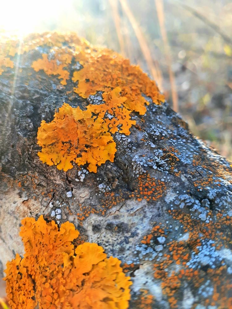 Photograph by Турулина Ангелина