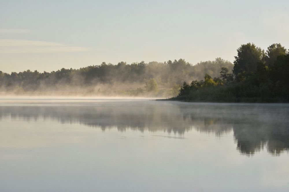 Photograph by Римма Большакова