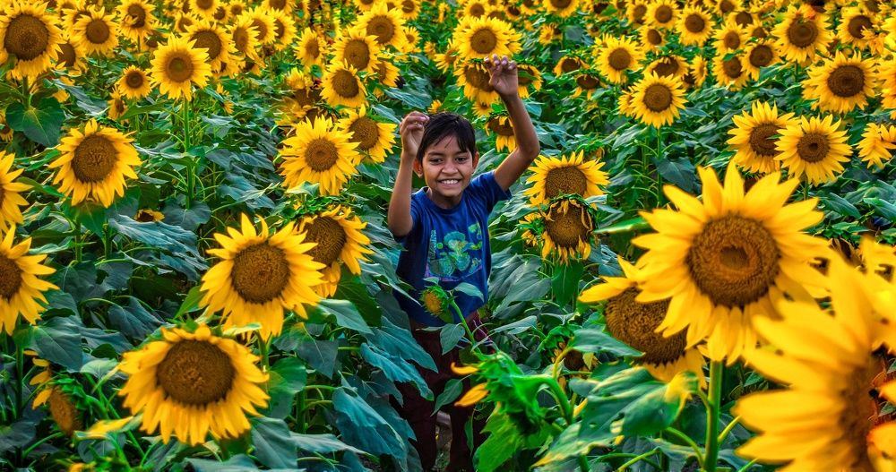 Photograph by Indranil Saha
