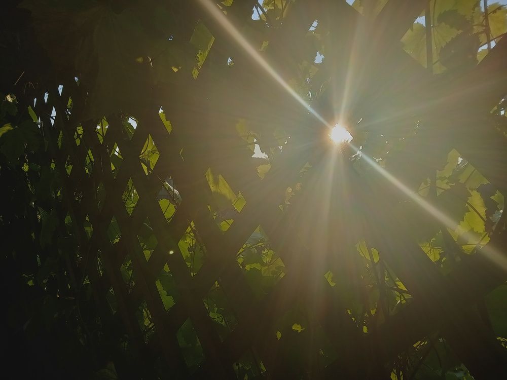 Photograph by Александр Гришин