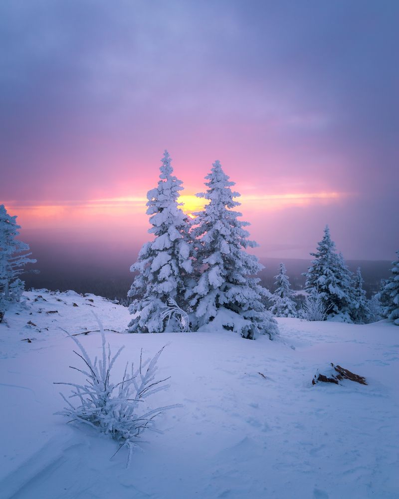 Photograph by Сергей Егоров