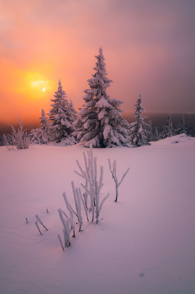 Photograph by Сергей Егоров