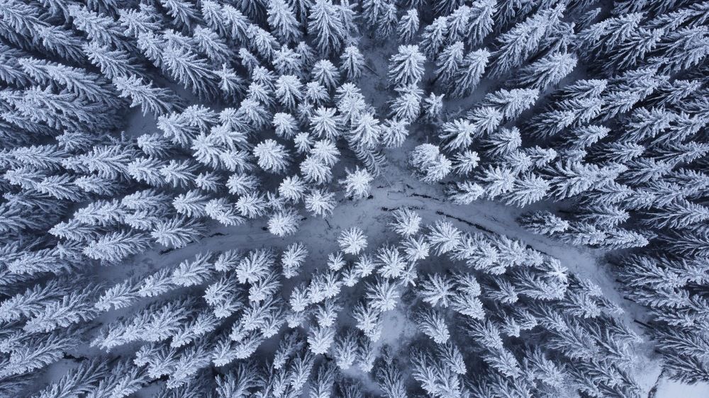 Photograph by Ирина