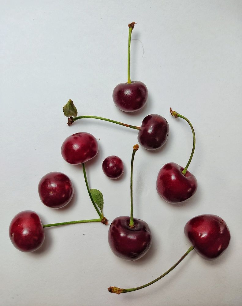 Photograph by Татьяна