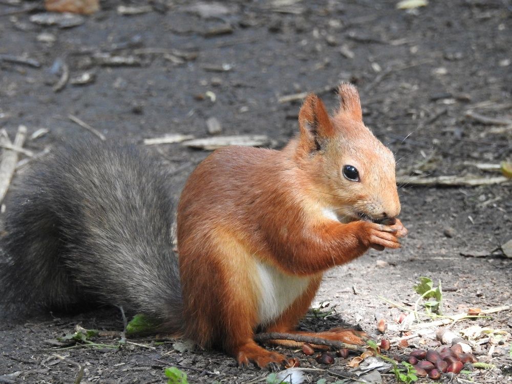 Photograph by Римма Большакова