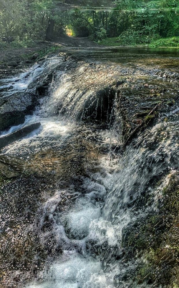 Photograph by Дарья