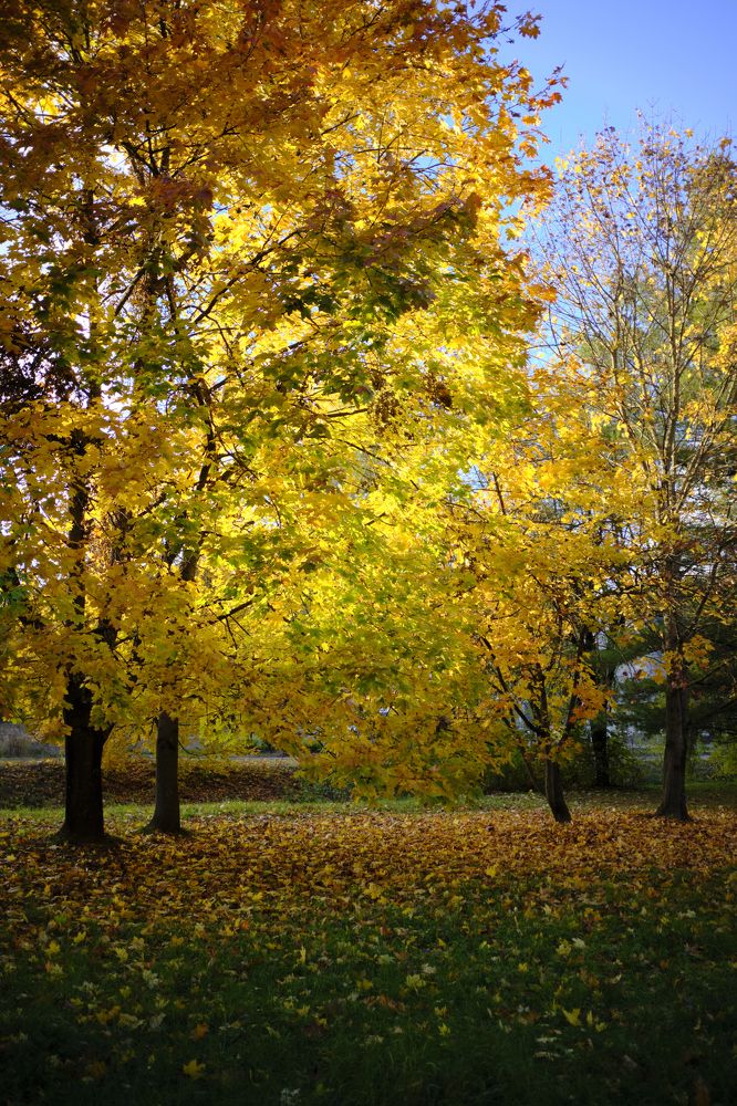 Photograph by Peter Mikus