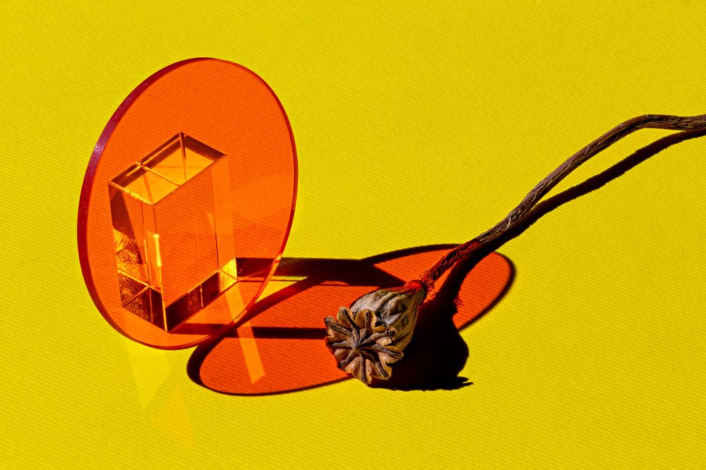 Photograph by Stas Che