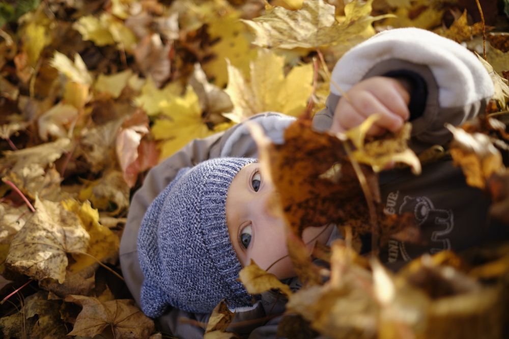 Photograph by Peter Mikus