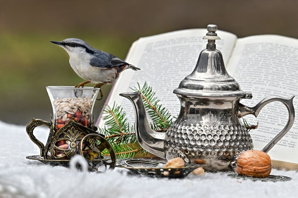 Photograph by Чернобай Анна