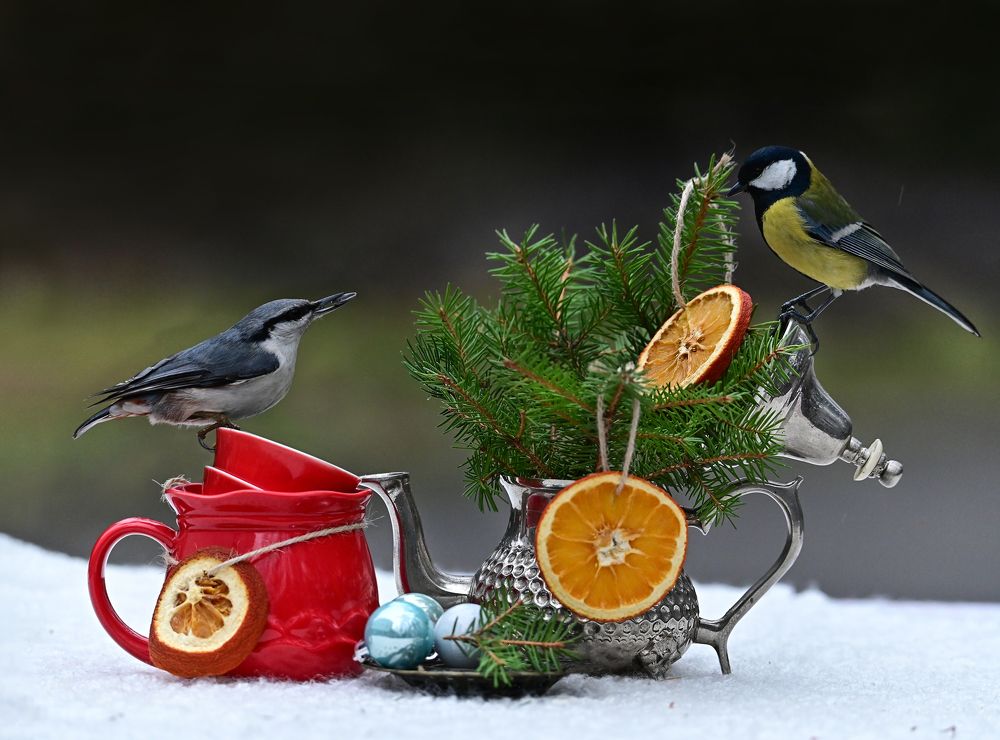 Photograph by Чернобай Анна