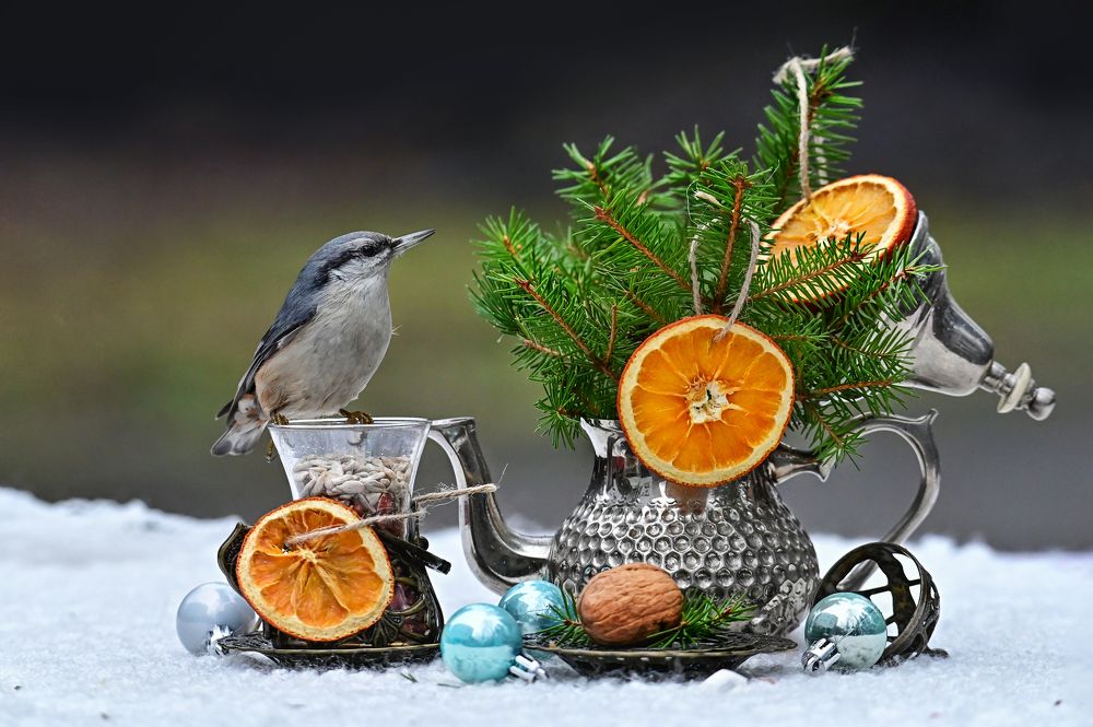 Photograph by Чернобай Анна