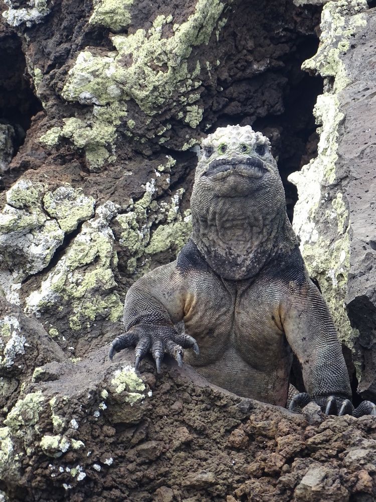 Photograph by ELVIRA LUNEVA