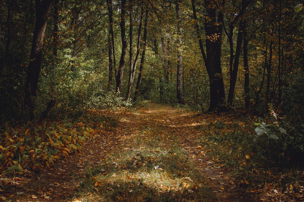 Photograph by Васенин Павел