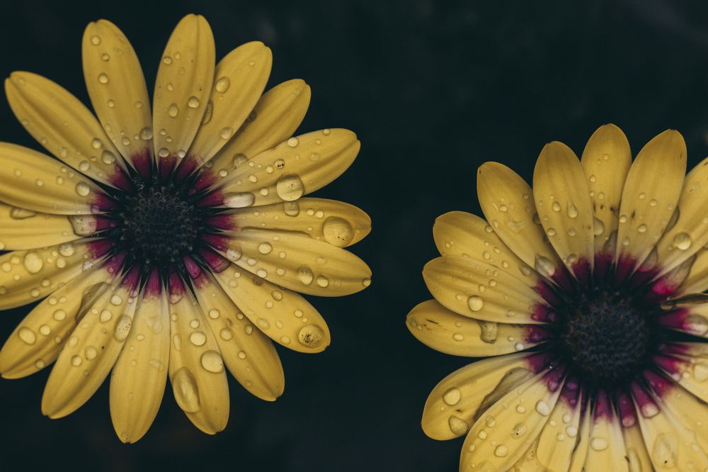 Photograph by Васенин Павел