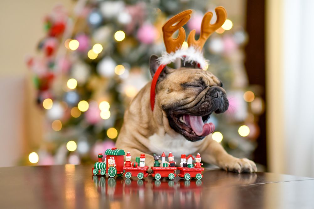 Photograph by Кадырова Марина