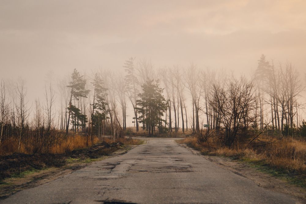 Photograph by Васенин Павел