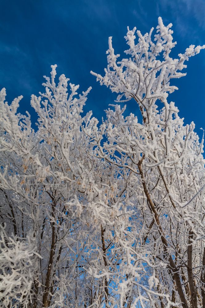 Зимнее кружево